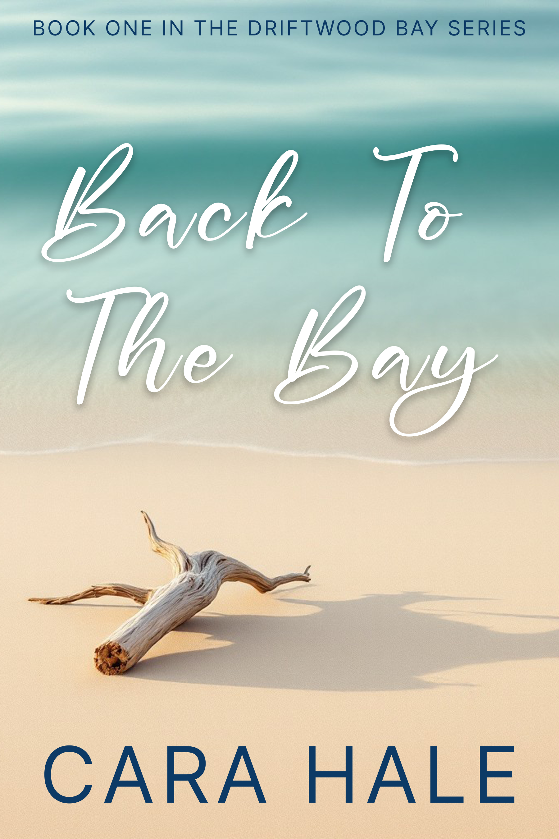 Back To The Bay book cover