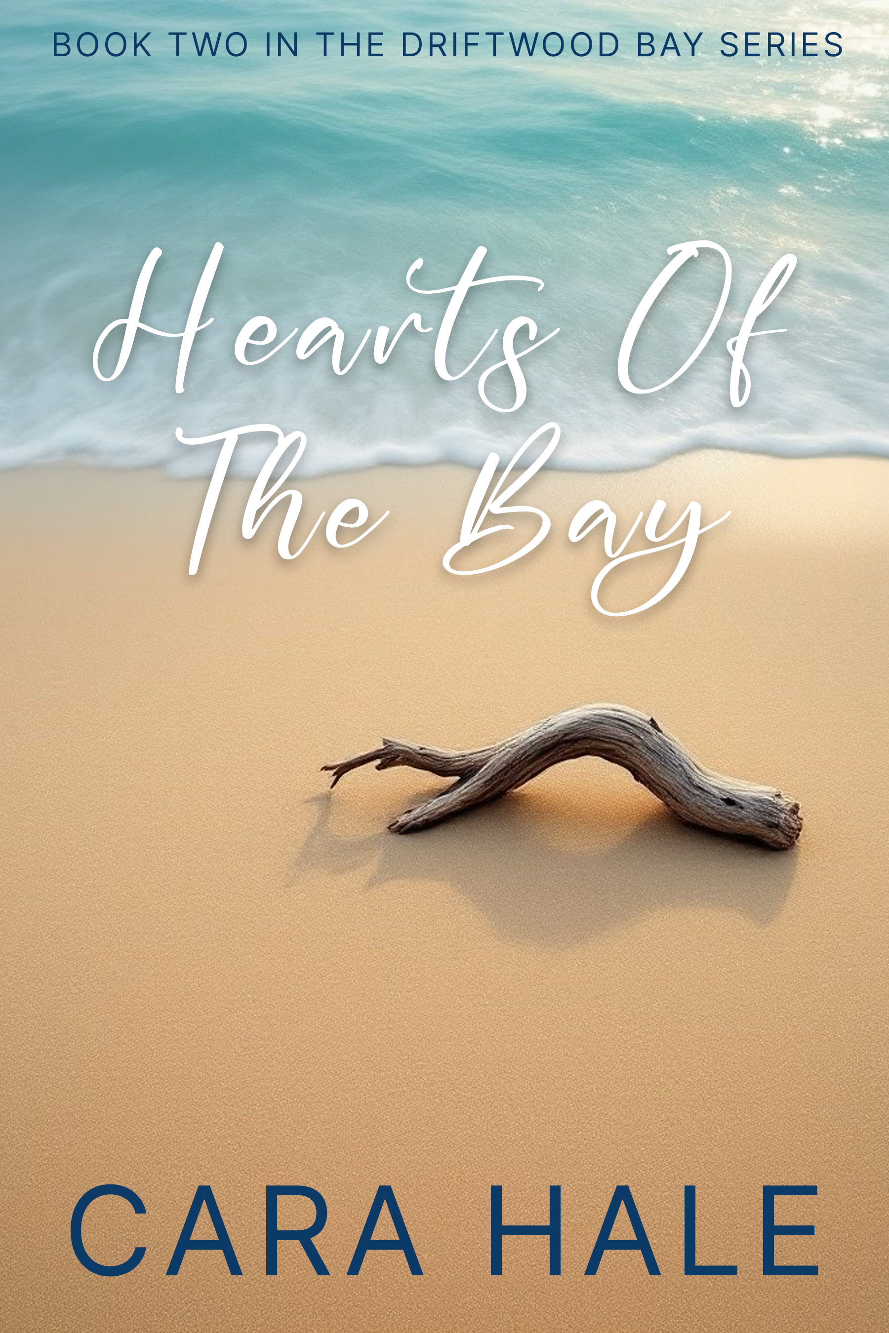 Hearts Of The Bay book cover
